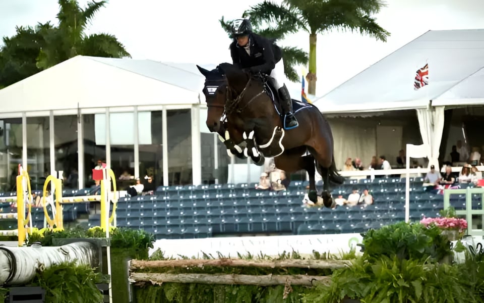 Wellington Equestrian Estate Builder Bankruptcy: Key Facts